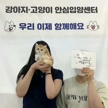도봉구 최x리님의 고양이 입양 사진