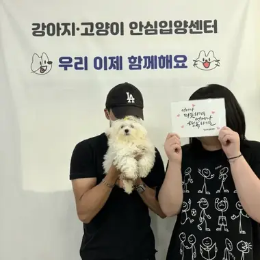 인천 김x진님의 강아지 입양 사진
