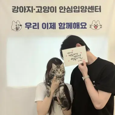 의정부 강x정님의 고양이 입양 사진