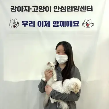 수원 최x현님의 고양이 입양 사진