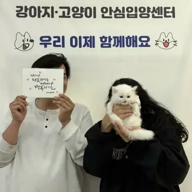 부산 김x유님의 고양이 입양 사진