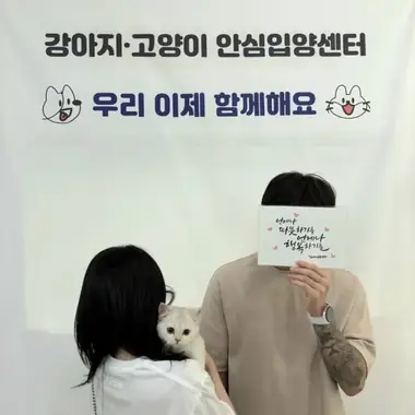 파주 김x희님의 고양이 입양 사진