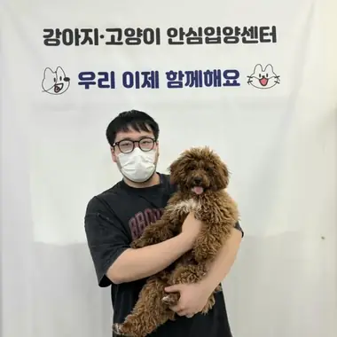 인천 유x동님의 강아지 입양 사진