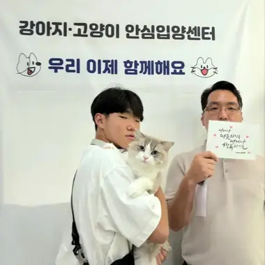 서울 김x진님의 고양이 입양 사진