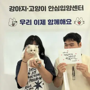 인천 채x광님의 고양이 입양 사진