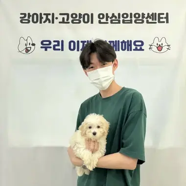 군포 이x혁님의 강아지 입양 사진