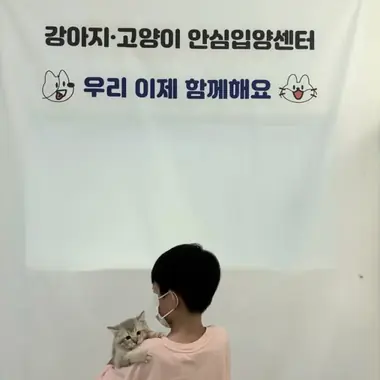 서울 서x진님의 고양이 입양 사진